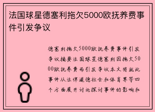 法国球星德塞利拖欠5000欧抚养费事件引发争议